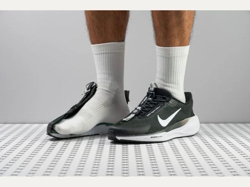 Nike Pegasus Easyon