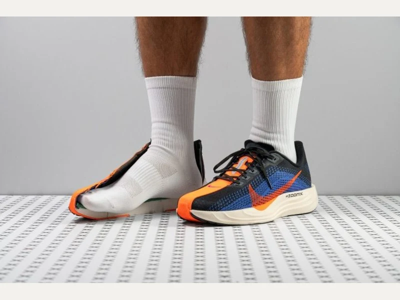 Nike Pegasus Plus