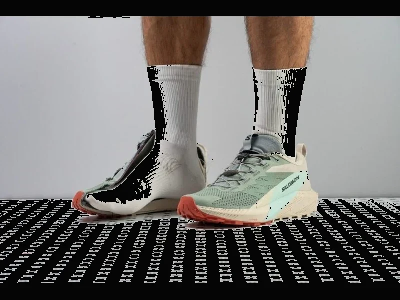 Salomon Sense Ride 5 5